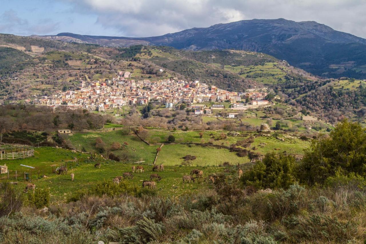 Lugori Bed & Breakfast Seùlo Dış mekan fotoğraf