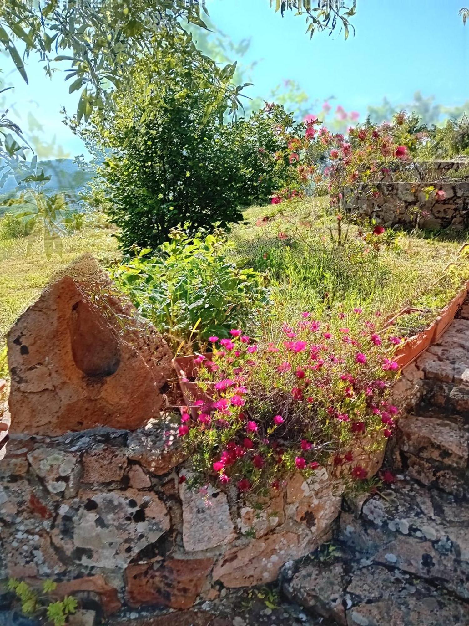 Lugori Bed & Breakfast Seùlo Dış mekan fotoğraf