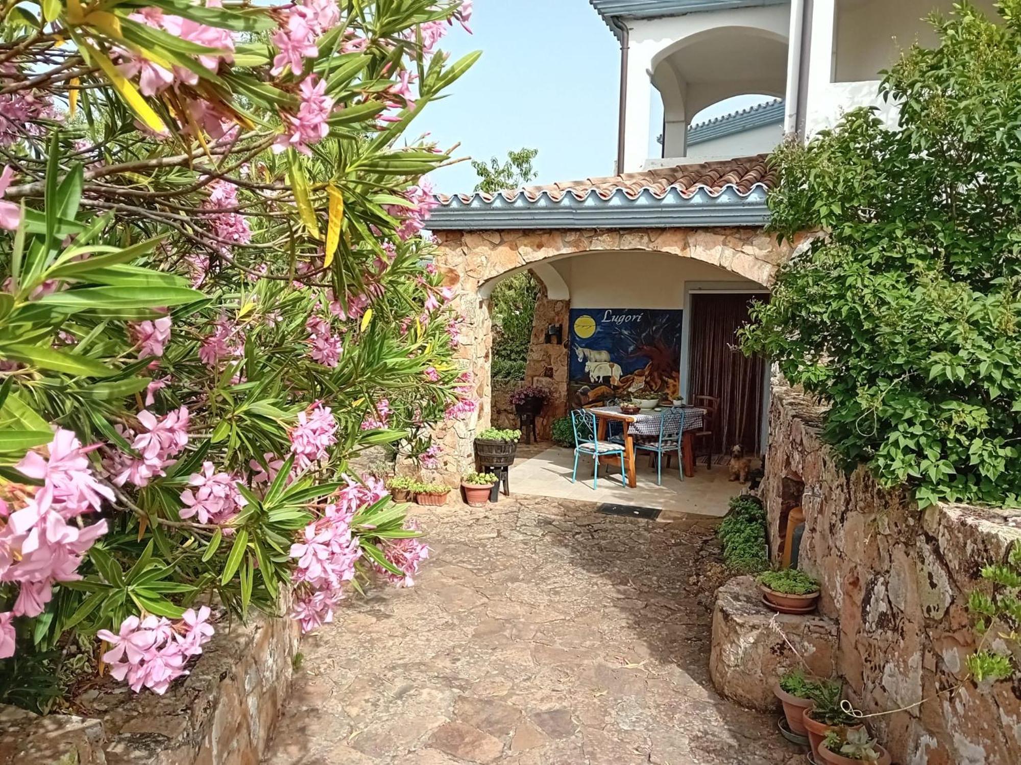 Lugori Bed & Breakfast Seùlo Dış mekan fotoğraf